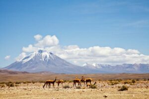 Volcan Tacora