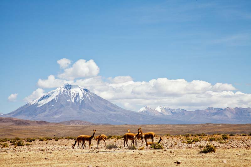 Volcan Tacora
